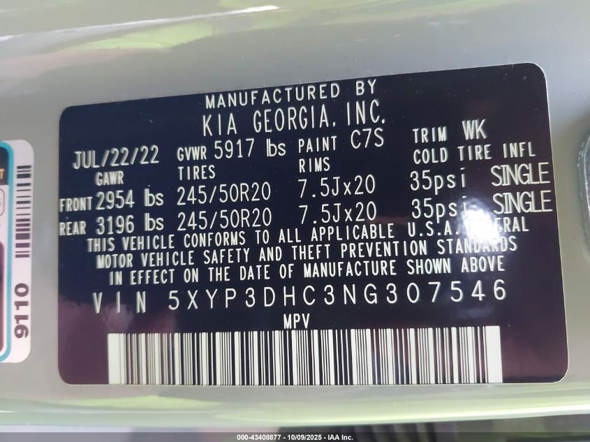 2022 Kia Telluride VIN: 5XYP3D8C3NG307546 Lot: 43408877