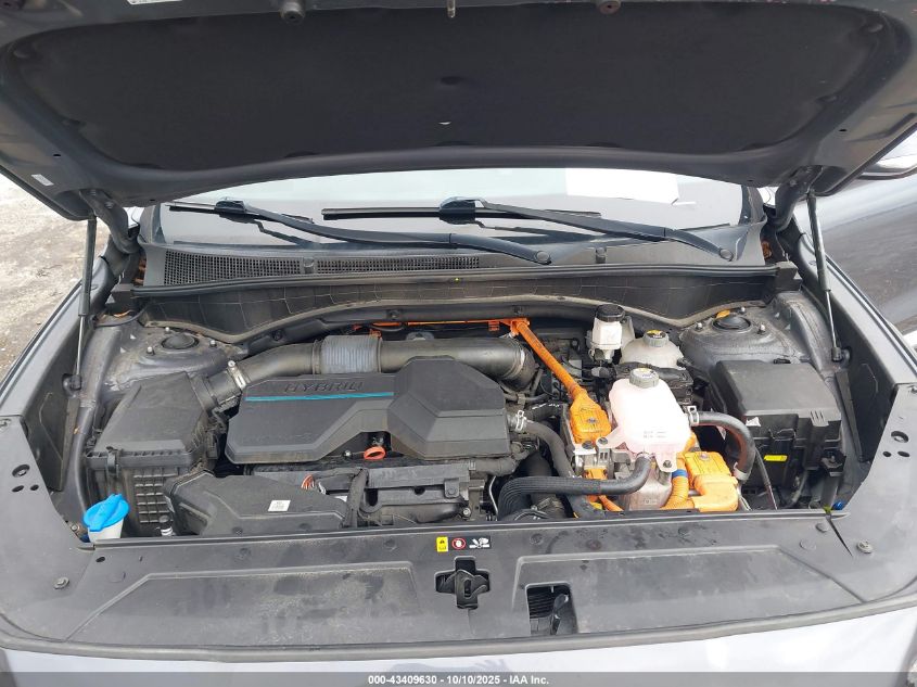 2021 Hyundai Santa Fe Hybrid Blue VIN: KM8S2DA14MU005973 Lot: 43409630