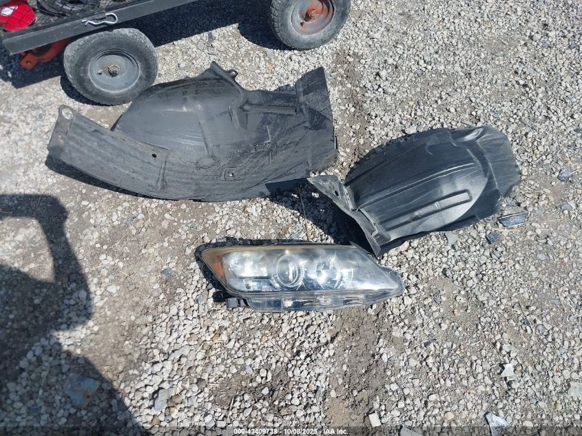 2013 Scion Tc VIN: JTKJF5C71D3065817 Lot: 43409738