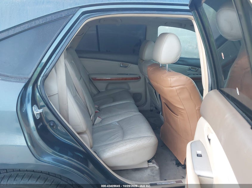 2004 Lexus Rx 330 VIN: JTJGA31U040002509 Lot: 43409845
