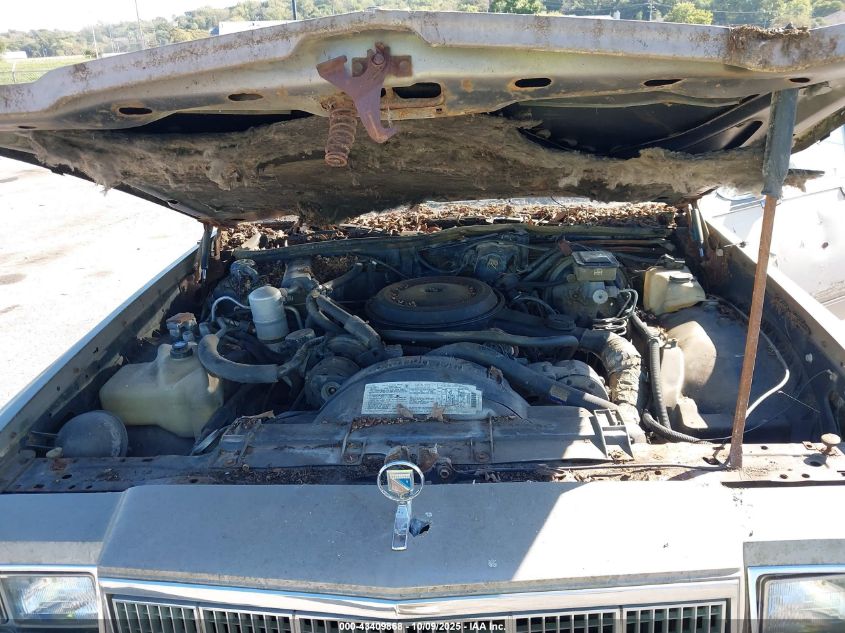 1984 Buick Electra Estate VIN: 1G4AV35Y1EX446996 Lot: 43409868