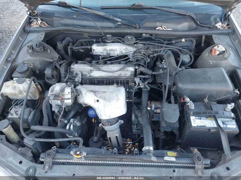 1998 Toyota Camry Le VIN: 4T1BG22K1WU318608 Lot: 43409994