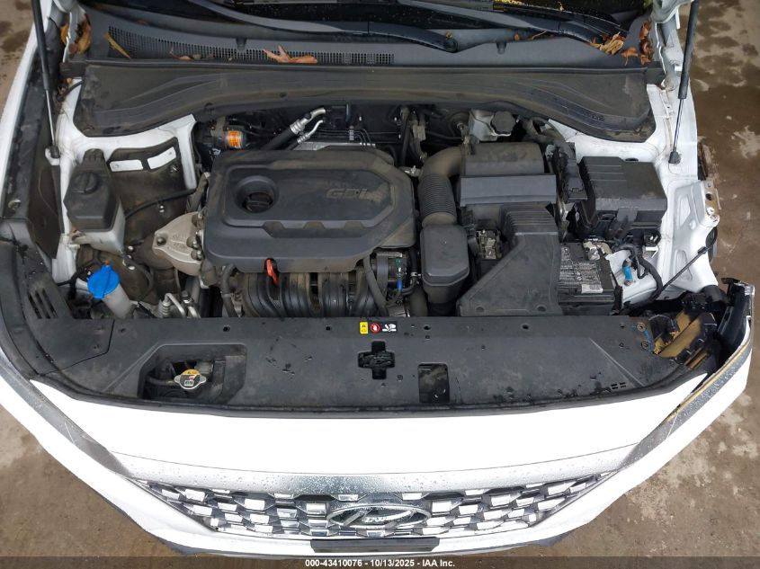 2020 Hyundai Santa Fe Sel VIN: 5NMS33AD3LH196846 Lot: 43410076