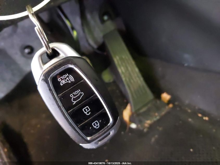 2020 Hyundai Santa Fe Sel VIN: 5NMS33AD3LH196846 Lot: 43410076