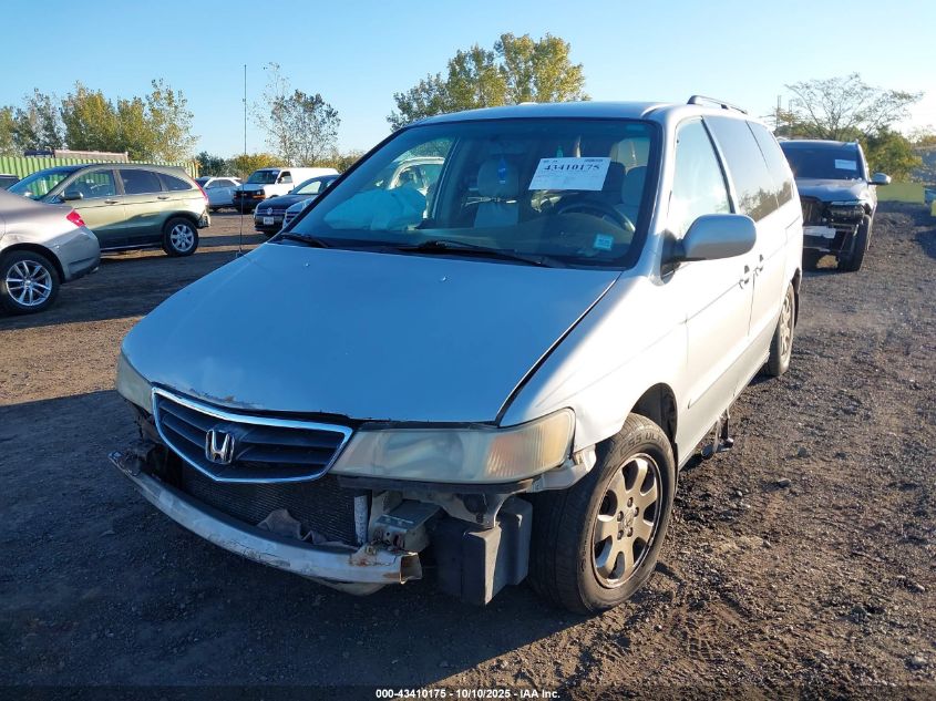 2004 Honda Odyssey Ex-L VIN: 5FNRL18904B071083 Lot: 43410175
