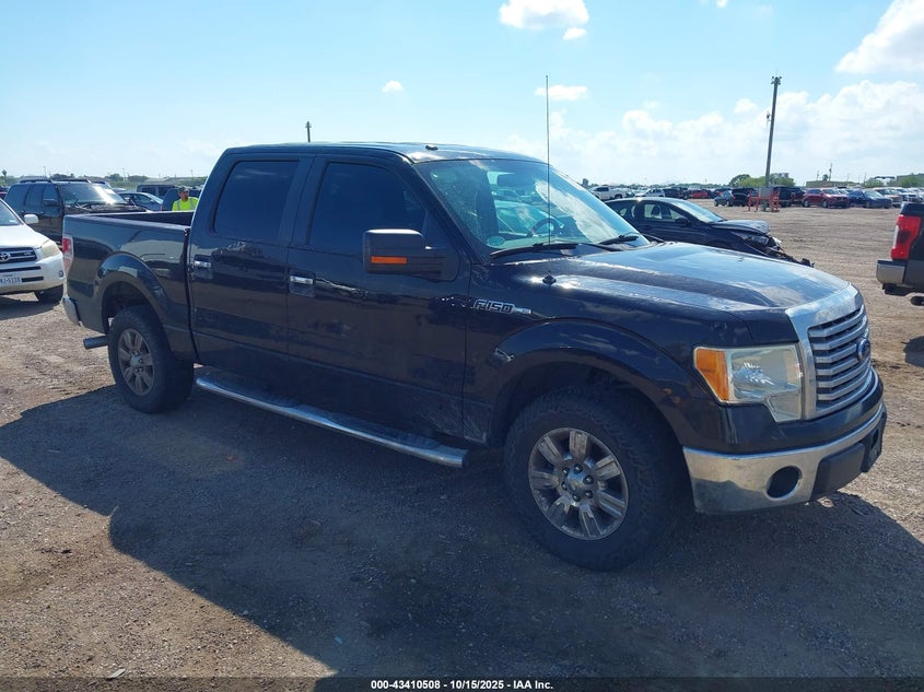 FORD F-150 XLT
