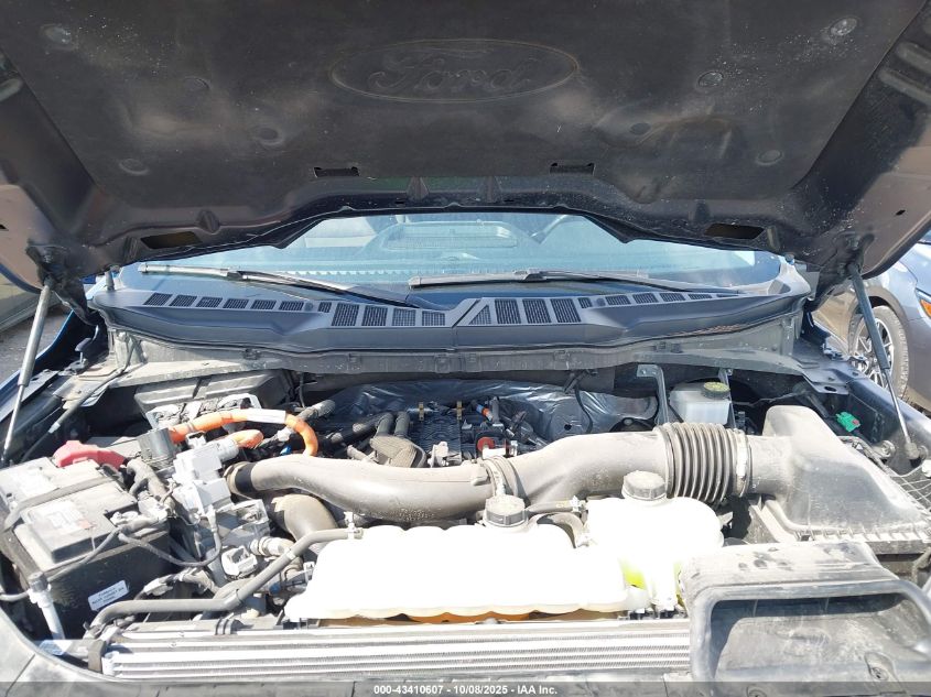 2024 Ford F-150 Xlt VIN: 1FTFW3LD6RFA25567 Lot: 43410607