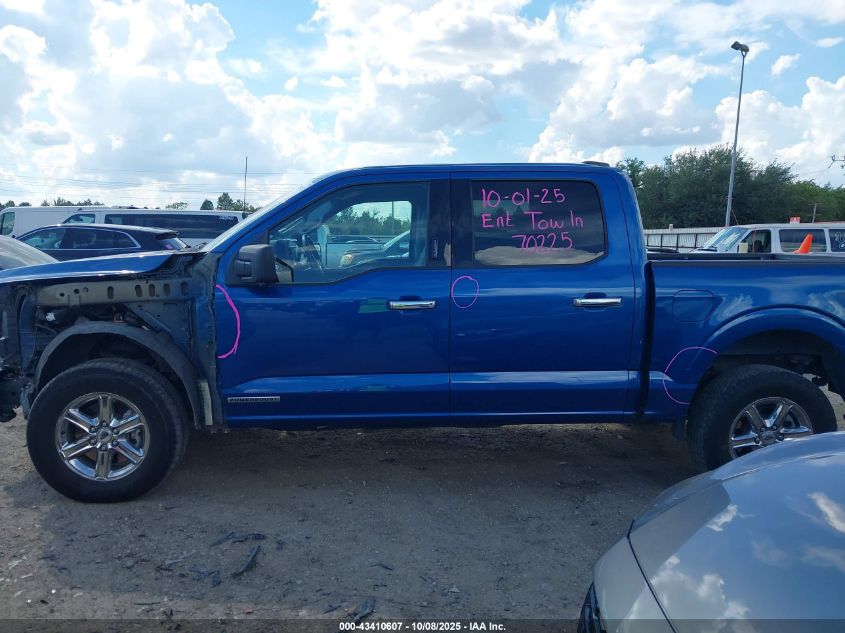 2024 Ford F-150 Xlt VIN: 1FTFW3LD6RFA25567 Lot: 43410607