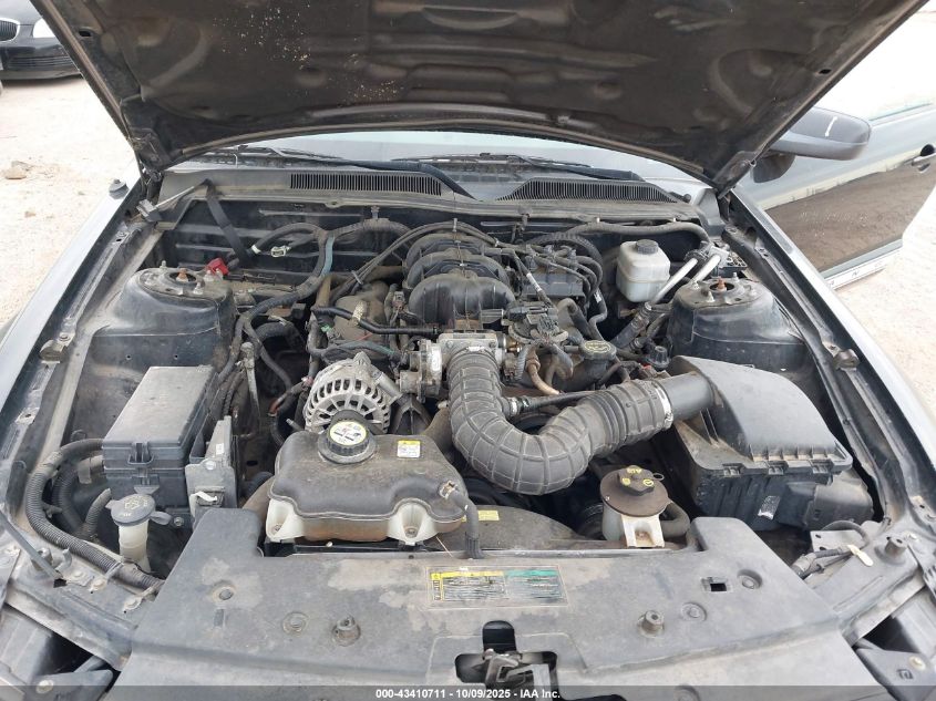 2008 Ford Mustang V6 Deluxe/V6 Premium VIN: 1ZVHT80N485101770 Lot: 43410711