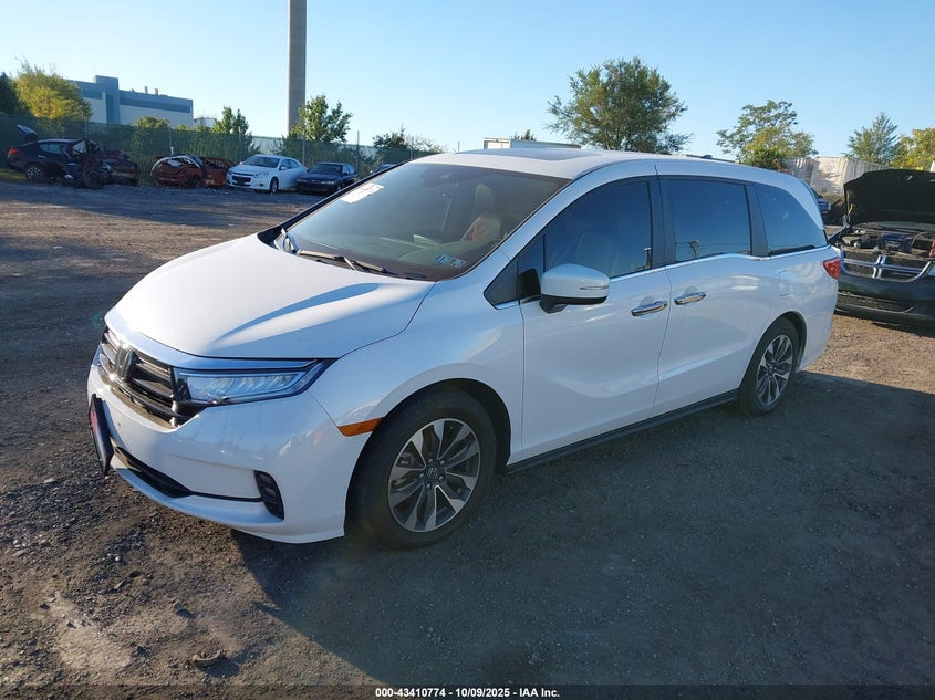 AtlanticExpress - Honda Odyssey