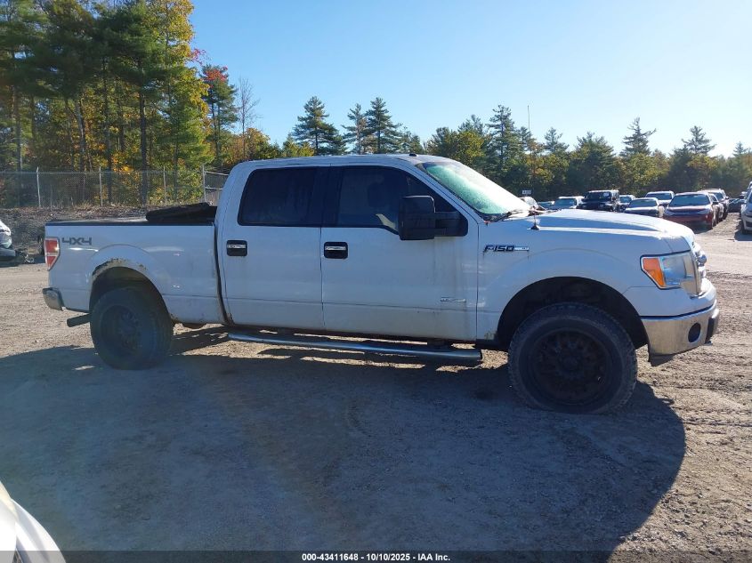 2014 Ford F-150 Xlt VIN: 1FTFW1ET6EFA57504 Lot: 43411648