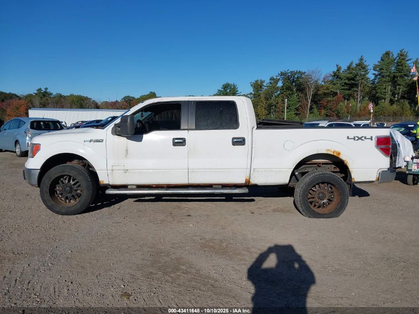 2014 Ford F-150 Xlt VIN: 1FTFW1ET6EFA57504 Lot: 43411648
