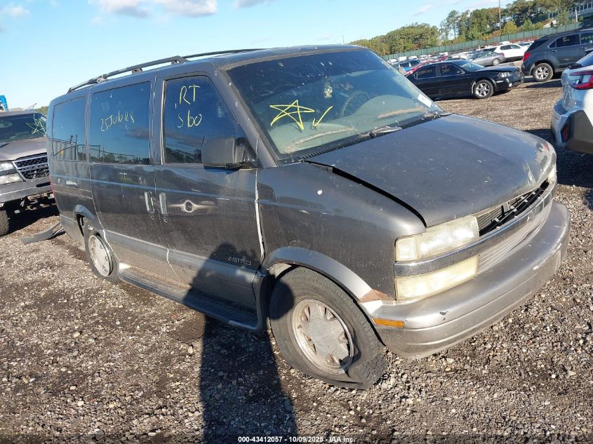 2002 Chevrolet Astro Ls VIN: 1GNDM19X42B141986 Lot: 43412057