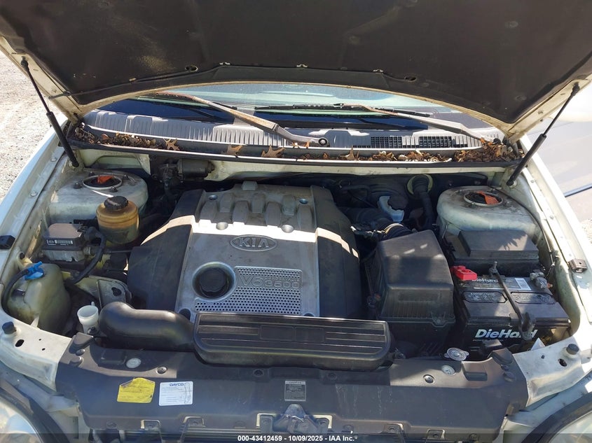 2005 Kia Sedona Ex/Lx VIN: KNDUP132256674980 Lot: 43412459