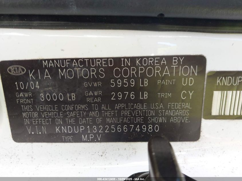 2005 Kia Sedona Ex/Lx VIN: KNDUP132256674980 Lot: 43412459