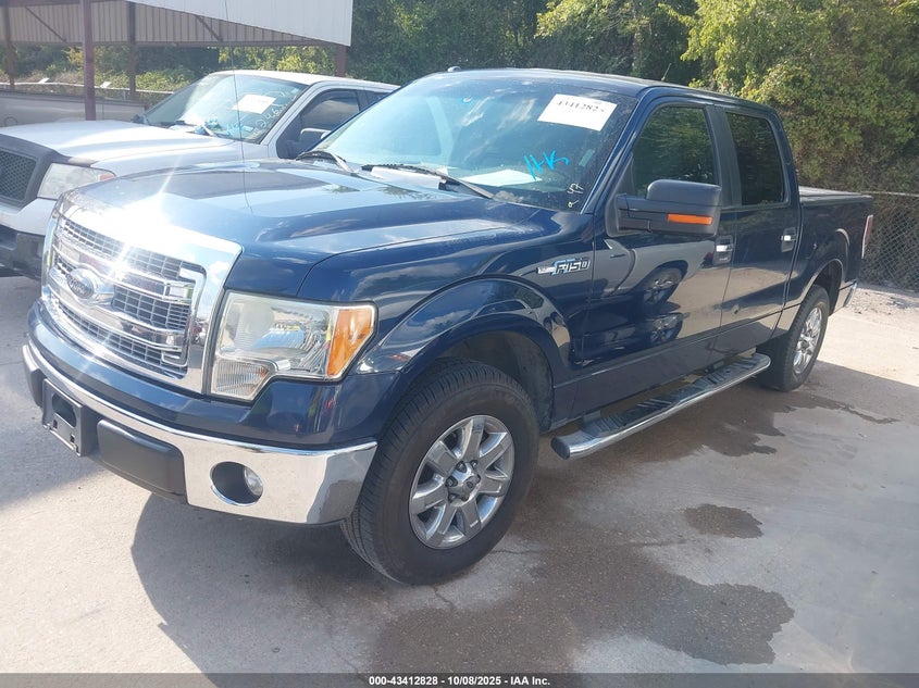 2013 FORD F-150 XLT 1FTEW1CM6DKG47831