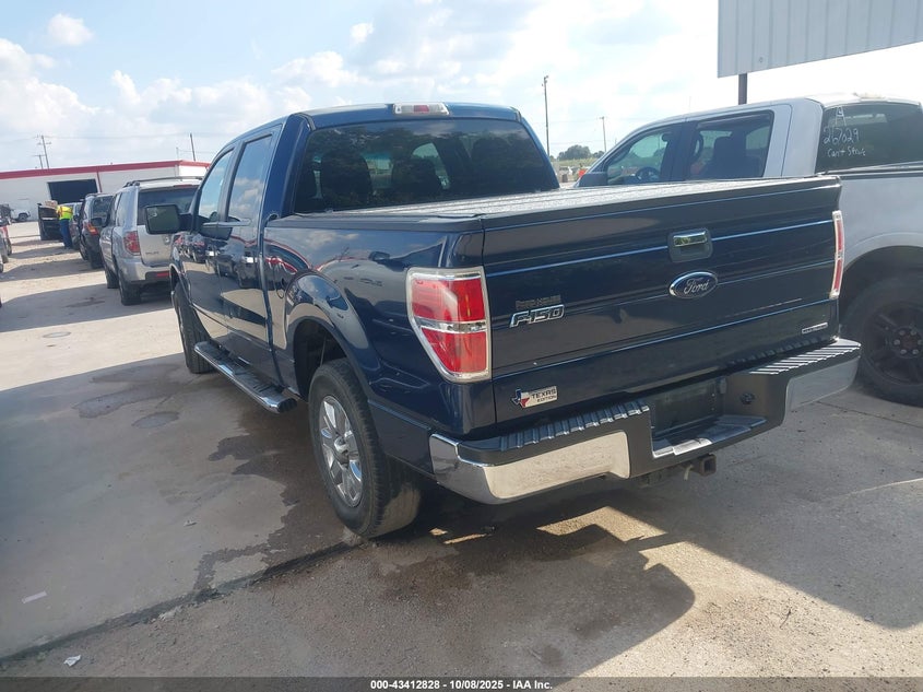 2013 FORD F-150 XLT 1FTEW1CM6DKG47831
