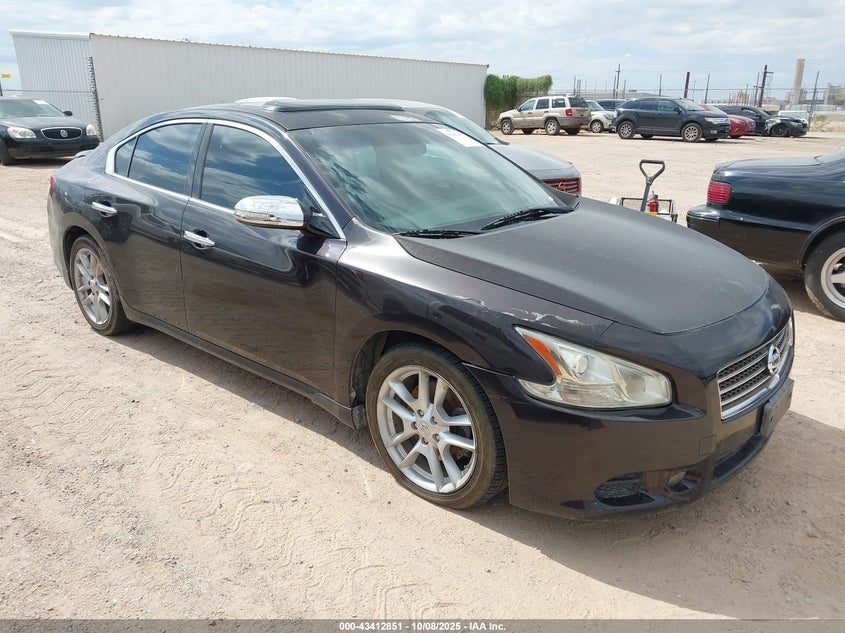 NISSAN MAXIMA 3.5 SV