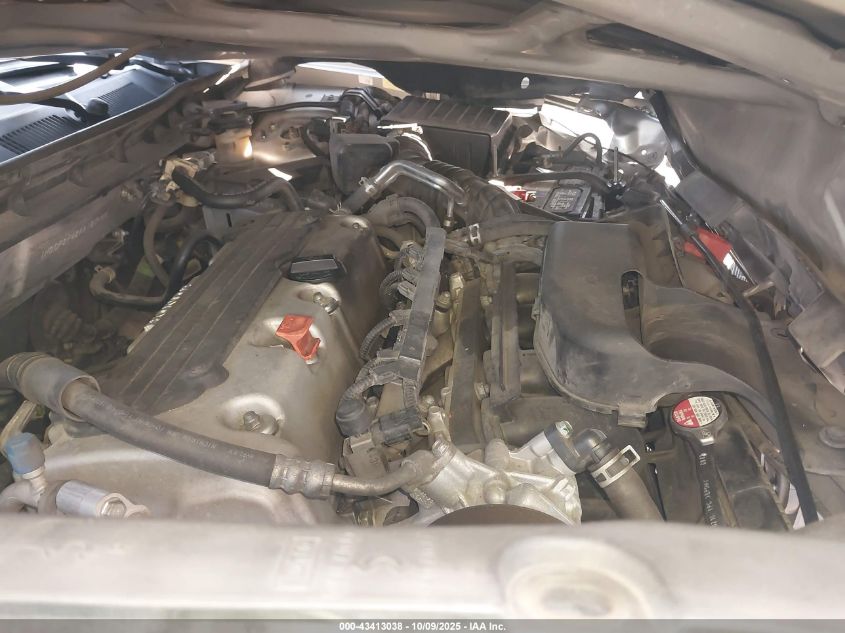 2010 Honda Accord 2.4 Lx-P VIN: 1HGCP2F42AA127456 Lot: 43413038