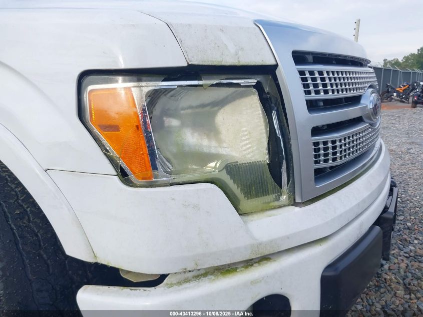 2009 Ford F-150 Platinum VIN: 1FTPW12V69FA75775 Lot: 43413296