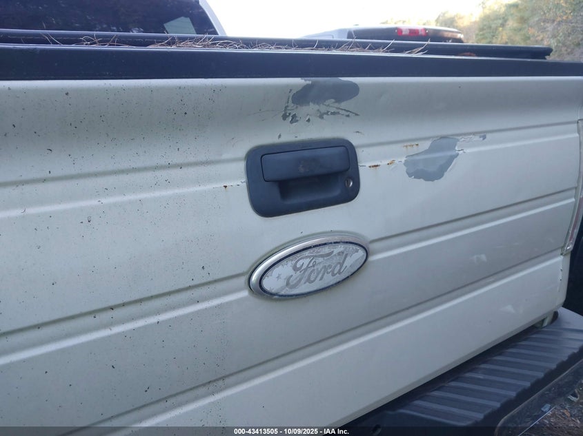 2009 Ford F-150 Fx4/King Ranch/Lariat/Platinum/Xl/Xlt VIN: 1FTPW14V69KC72076 Lot: 43413505