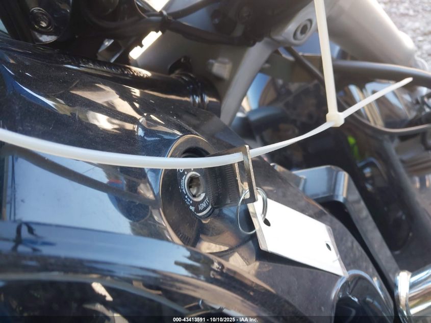 2006 Suzuki M50 Bk5 VIN: JS1VS56A662101824 Lot: 43413591