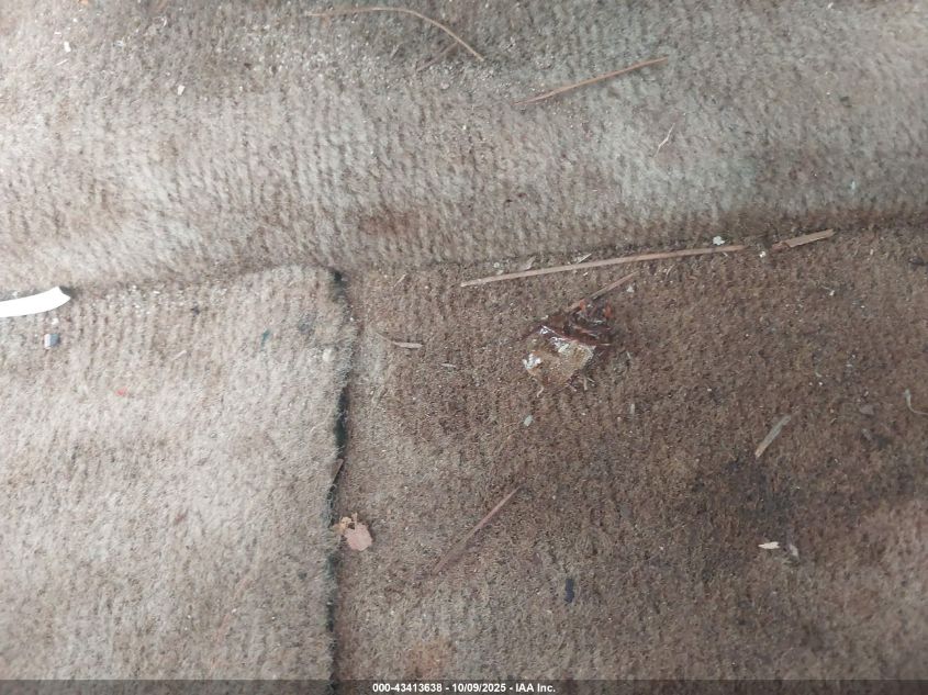 1998 Dodge Dakota Slt/Sport VIN: 1B7GG22Y1WS505776 Lot: 43413638