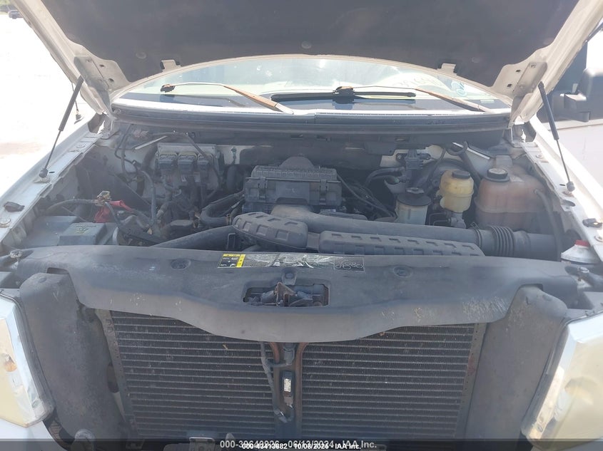 2004 Ford F-150 Lariat/Xl/Xlt VIN: 1FTPX12554NA10007 Lot: 43413682