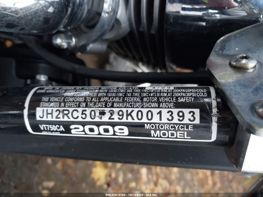 2009 Honda Vt750 Ca VIN: JH2RC50729K001393 Lot: 43414104