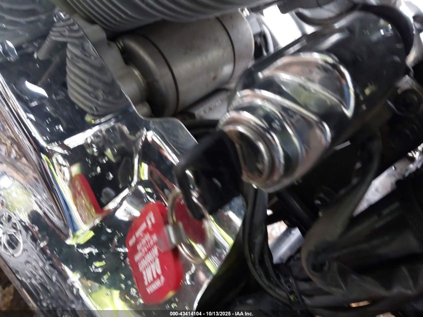 2009 Honda Vt750 Ca VIN: JH2RC50729K001393 Lot: 43414104