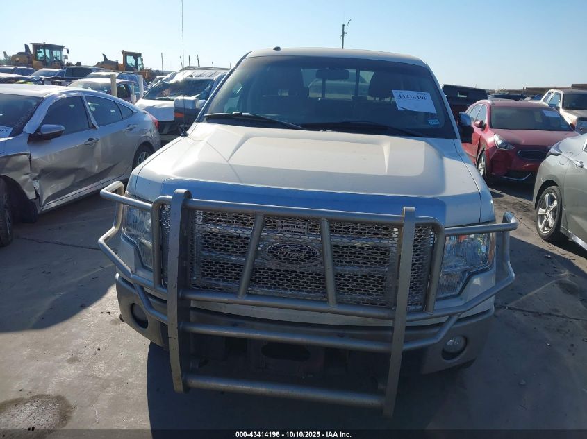 2009 Ford F-150 Fx4/King Ranch/Lariat/Platinum/Xl/Xlt VIN: 1FTPW14V79KB51556 Lot: 43414196