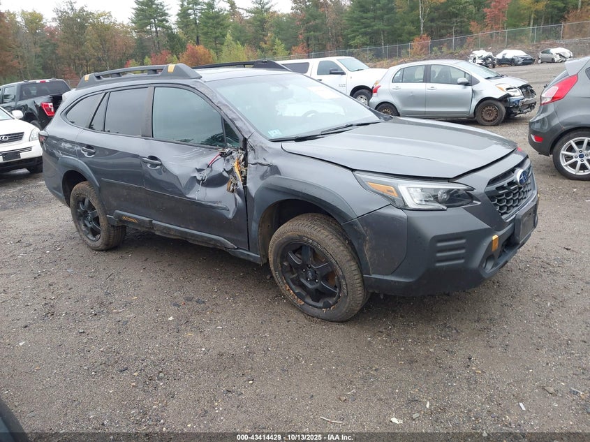 SUBARU OUTBACK WILDERNESS