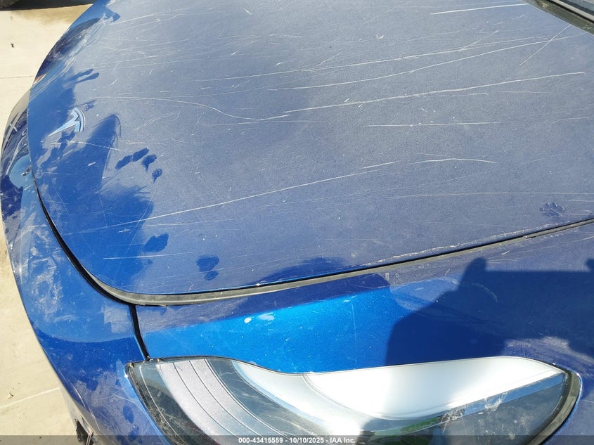 2024 Tesla Model Y Long Range Dual Motor All-Wheel Drive VIN: 7SAYGDEE3RA307154 Lot: 43415559