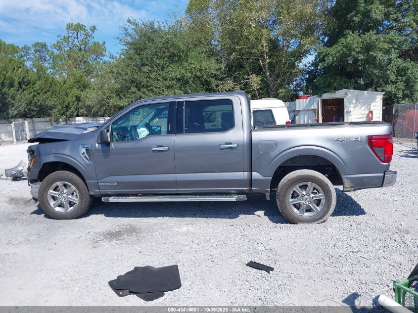 2024 Ford F-150 Xlt VIN: 1FTFW3LD6RFA05688 Lot: 43415601