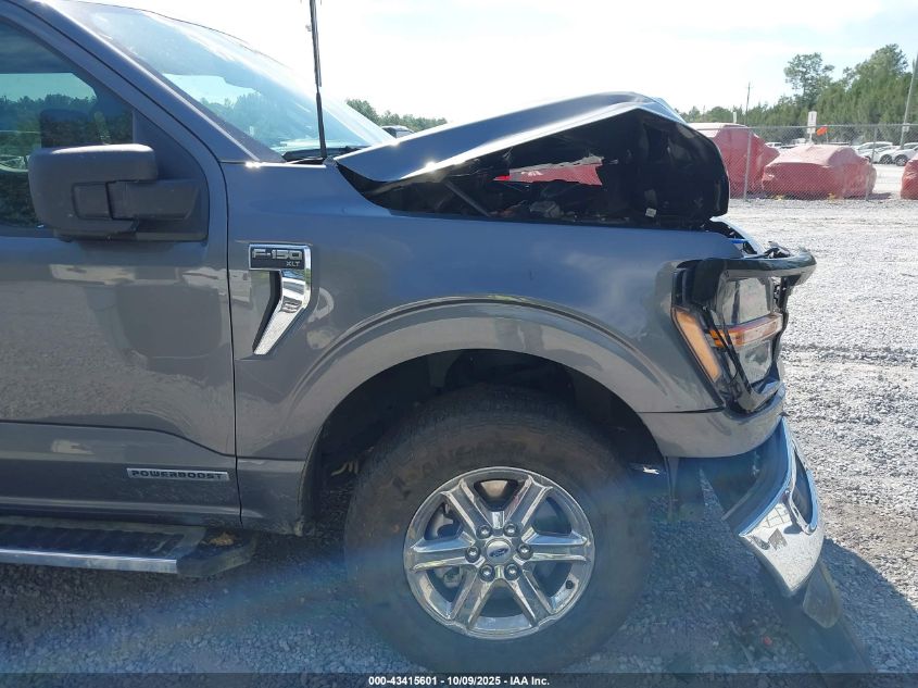 2024 Ford F-150 Xlt VIN: 1FTFW3LD6RFA05688 Lot: 43415601