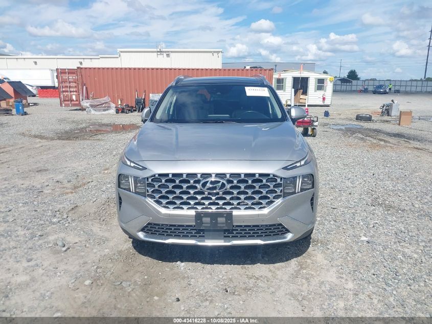 2023 Hyundai Santa Fe Limited VIN: 5NMS44AL8PH559366 Lot: 43416228