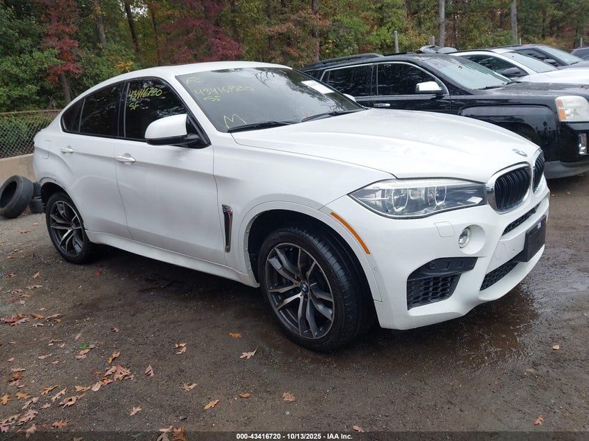 BMW X6 M X6 M
