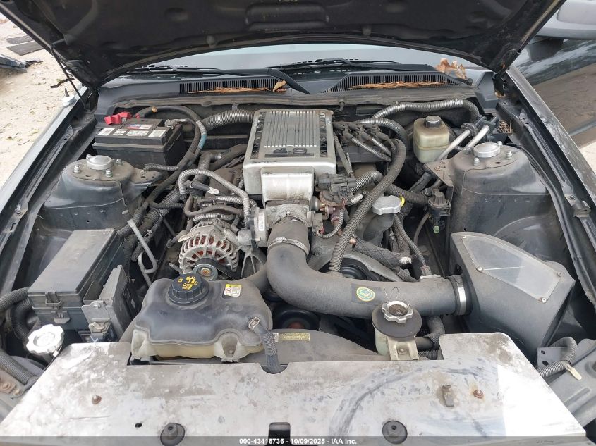 2005 Ford Mustang VIN: 1ZVFT84N255247744 Lot: 43416736