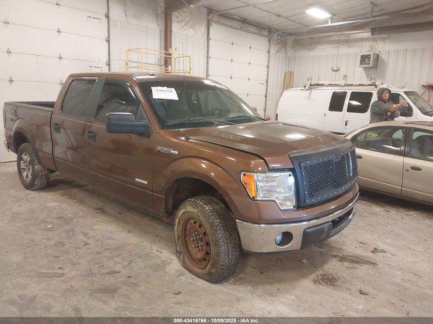 FORD F-150 XLT