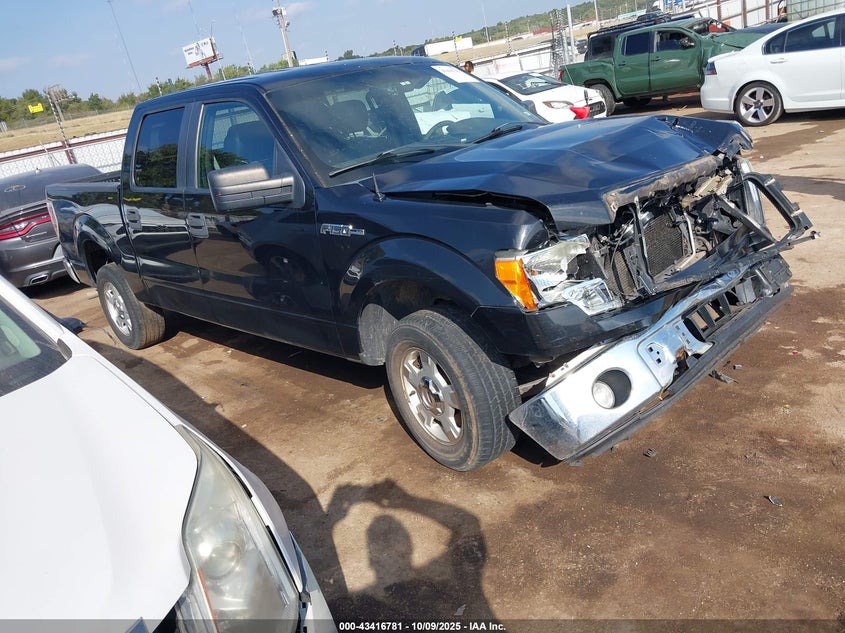 FORD F-150 XLT