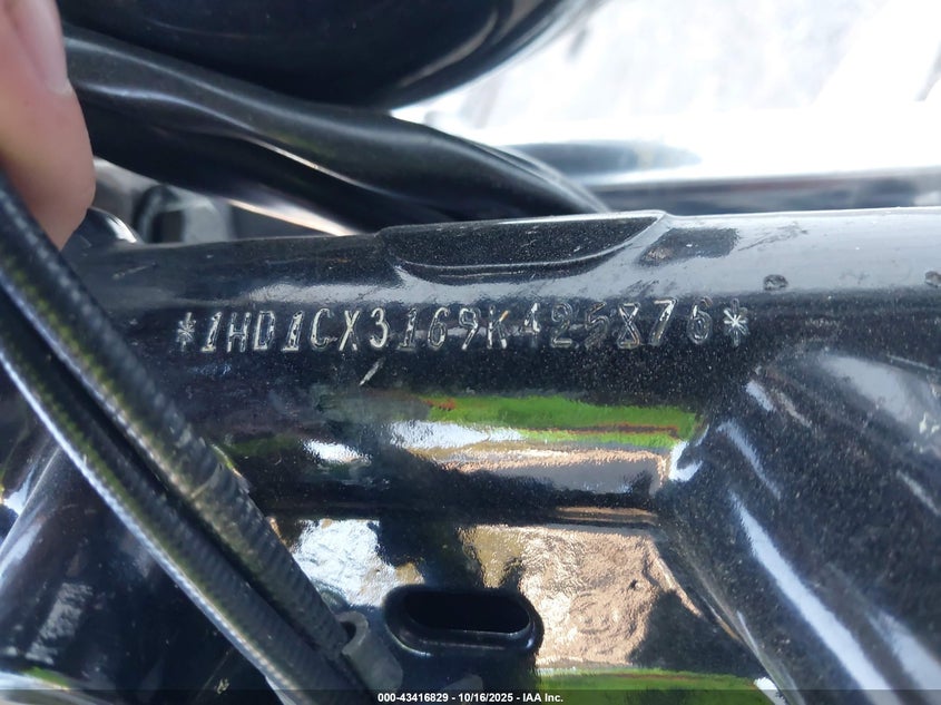 2009 Harley-Davidson Xl1200 L VIN: 1HD1CX3169K425876 Lot: 43416829