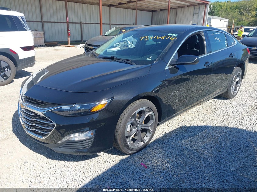 VIN 1G1ZD5ST3RF163857 2024 CHEVROLET MALIBU FWD 1LT