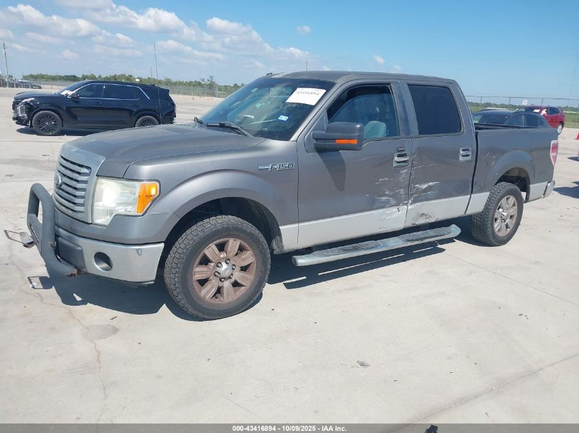 2012 Ford F-150 Xlt VIN: 1FTEW1CM2CKD29817 Lot: 43416894
