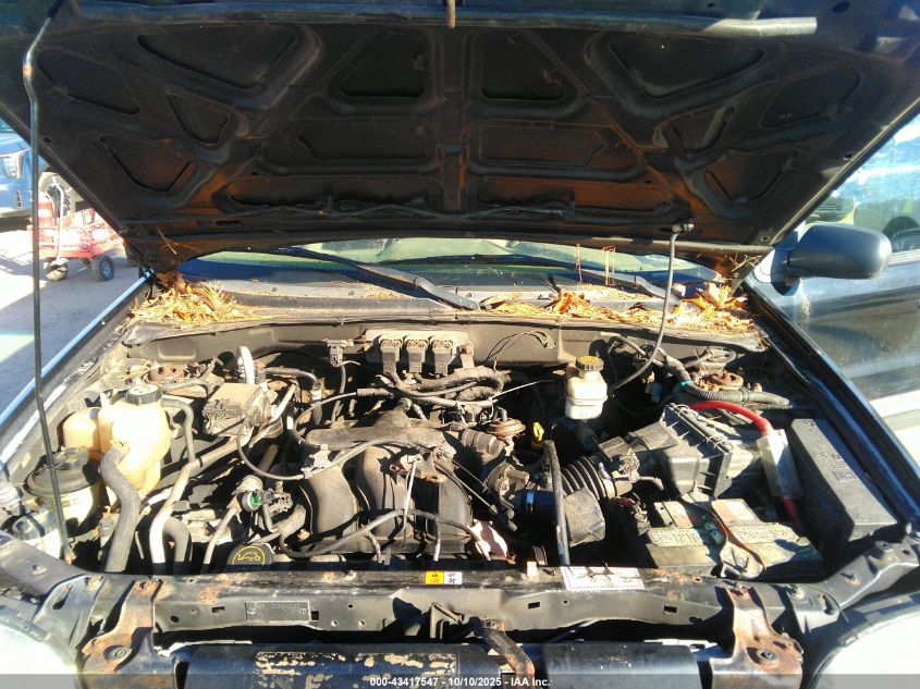 2005 Ford Escape Xlt VIN: 1FMCU931X5KE02349 Lot: 43417547