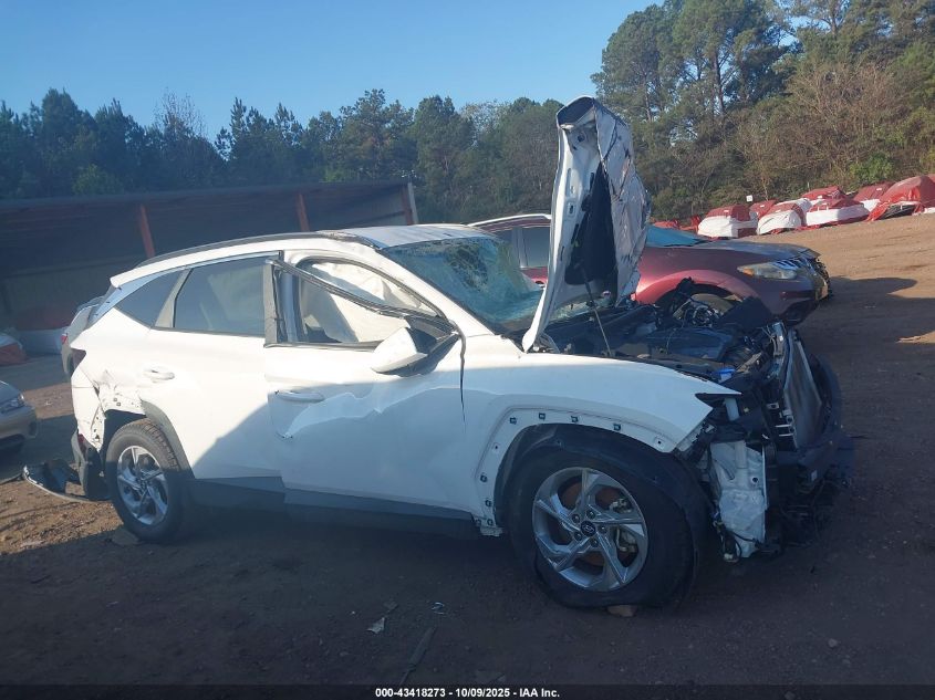 2024 Hyundai Tucson Sel VIN: 5NMJB3DE0RH351252 Lot: 43418273