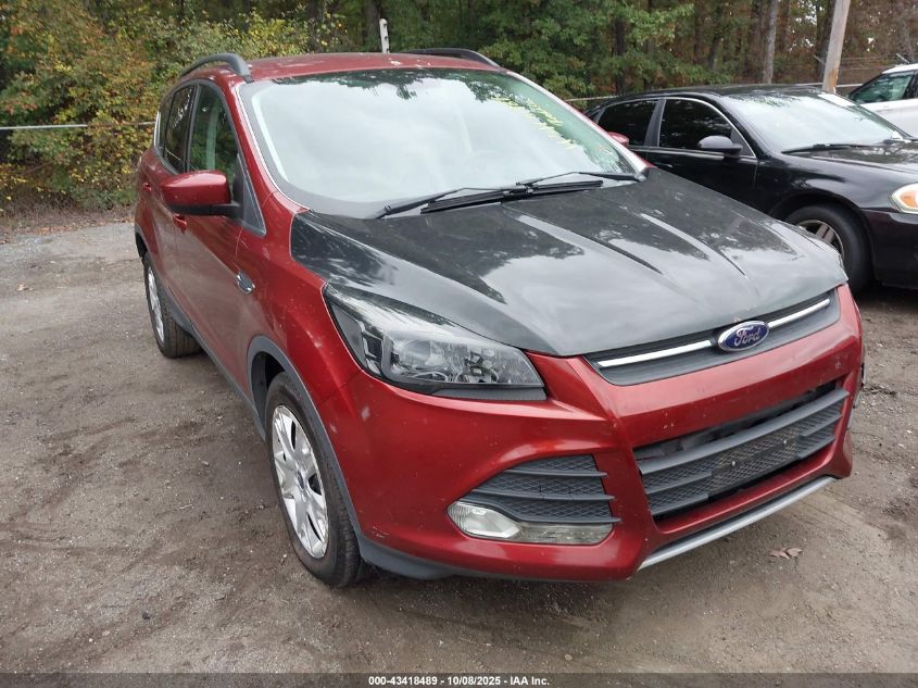 2014 Ford Escape Se VIN: 1FMCU0GX0EUE21751 Lot: 43418489