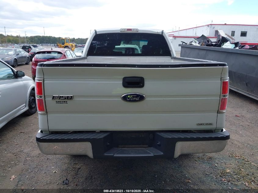 2014 Ford F-150 Xlt VIN: 1FTEX1CM1EFA99244 Lot: 43418523