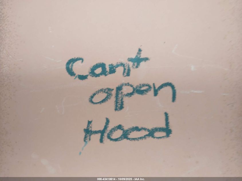 1994 Cadillac Deville VIN: 1G6KD52BXRU303479 Lot: 43418614