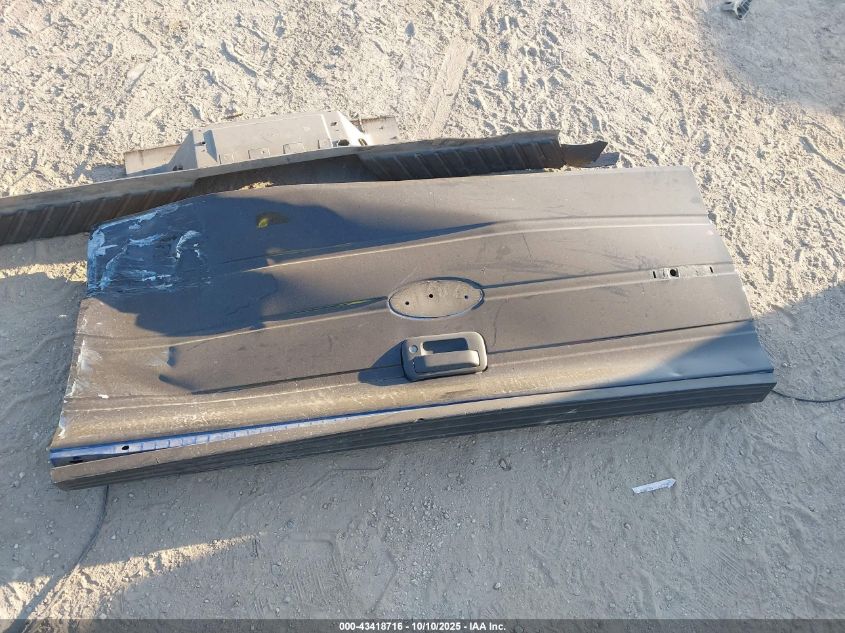 2009 Ford F-150 Stx/Xl VIN: 1FTRX12W09KB43123 Lot: 43418716