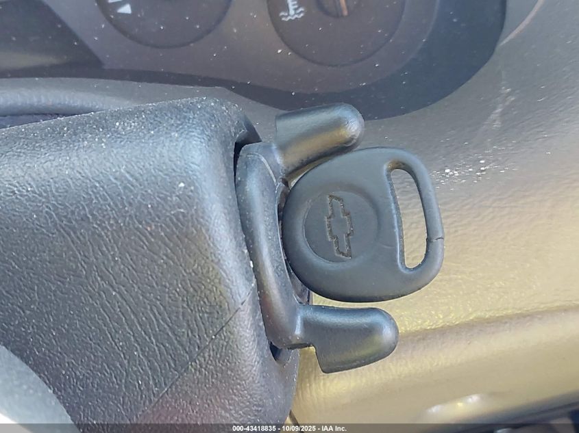 2004 Chevrolet Trailblazer Lt VIN: 1GNDT13S242196522 Lot: 43418835